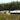 Modular buildings in a forested area