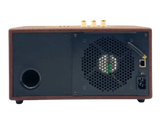 Fluminer_L2_1.2GH_DOGE_280W